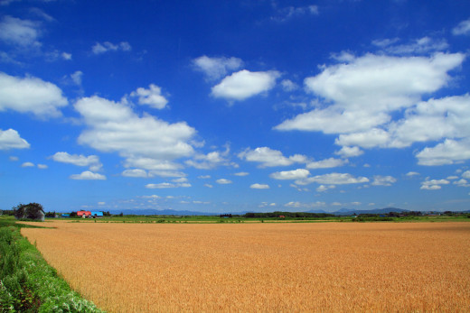 649361 (a): :1920x1280